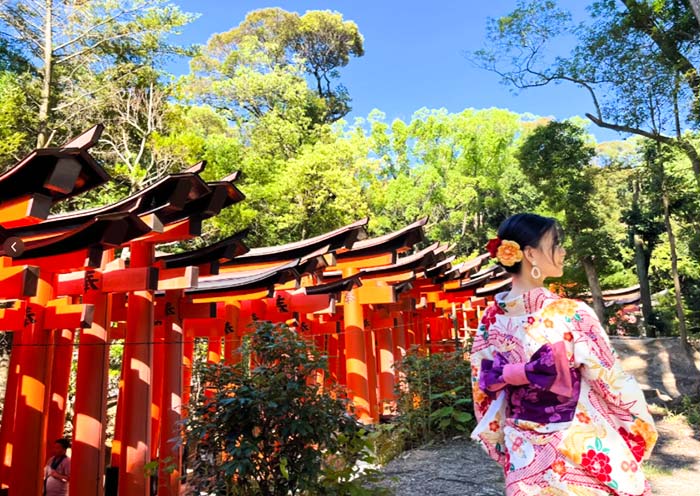 6 Things to Sort Out Before Booking Your First Japan Trip