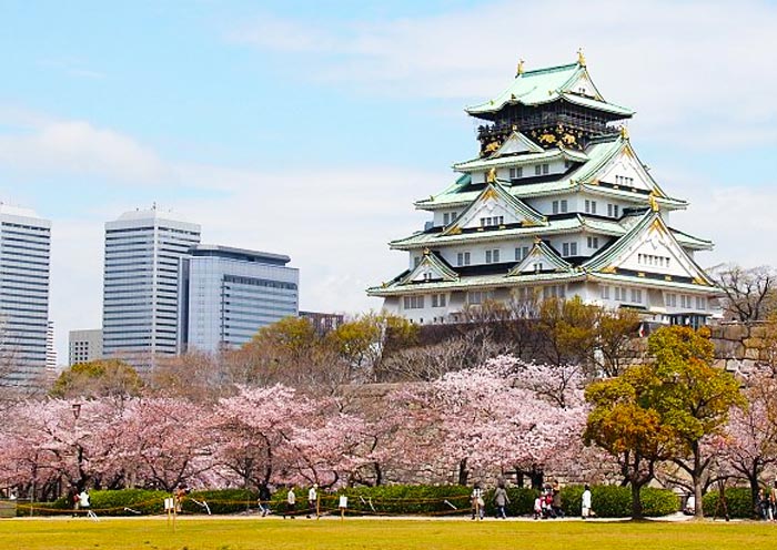 Best Family Travel Agencies for Japan with Kids 2026
