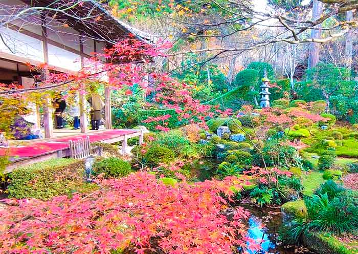 Multi-City Japan Travel: How Asia Odyssey Travel Connects Your Journey