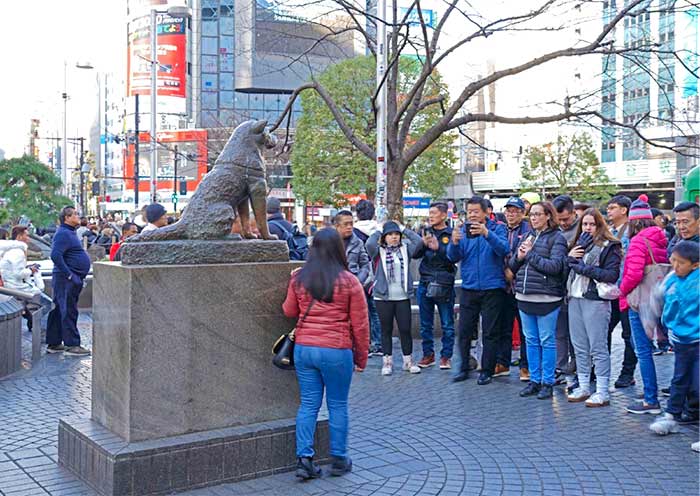 How to Determine if a Japan Travel Agency is Truly “Locally Operated”